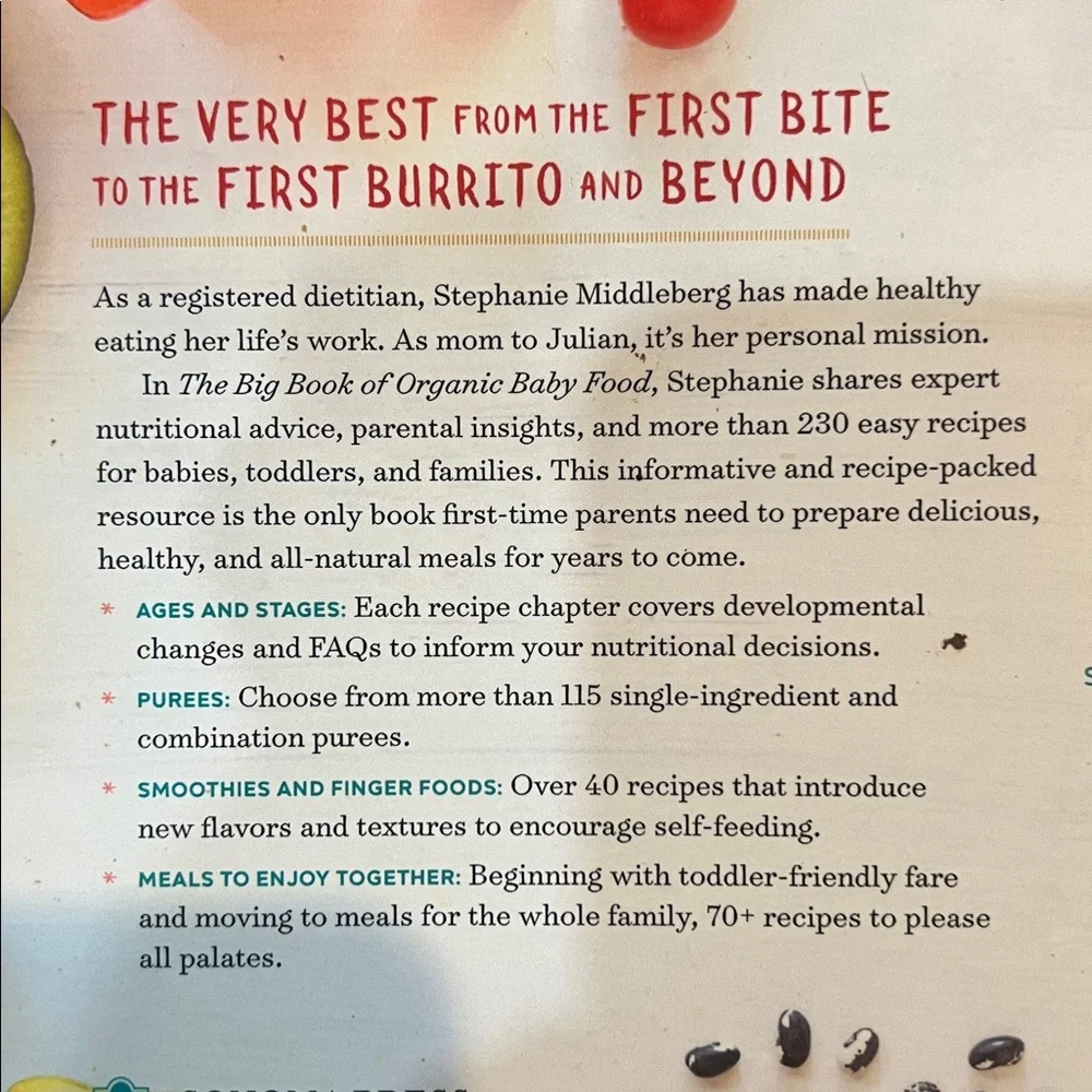 The Big Book of Organic Baby Food by Stephanie Middleberg